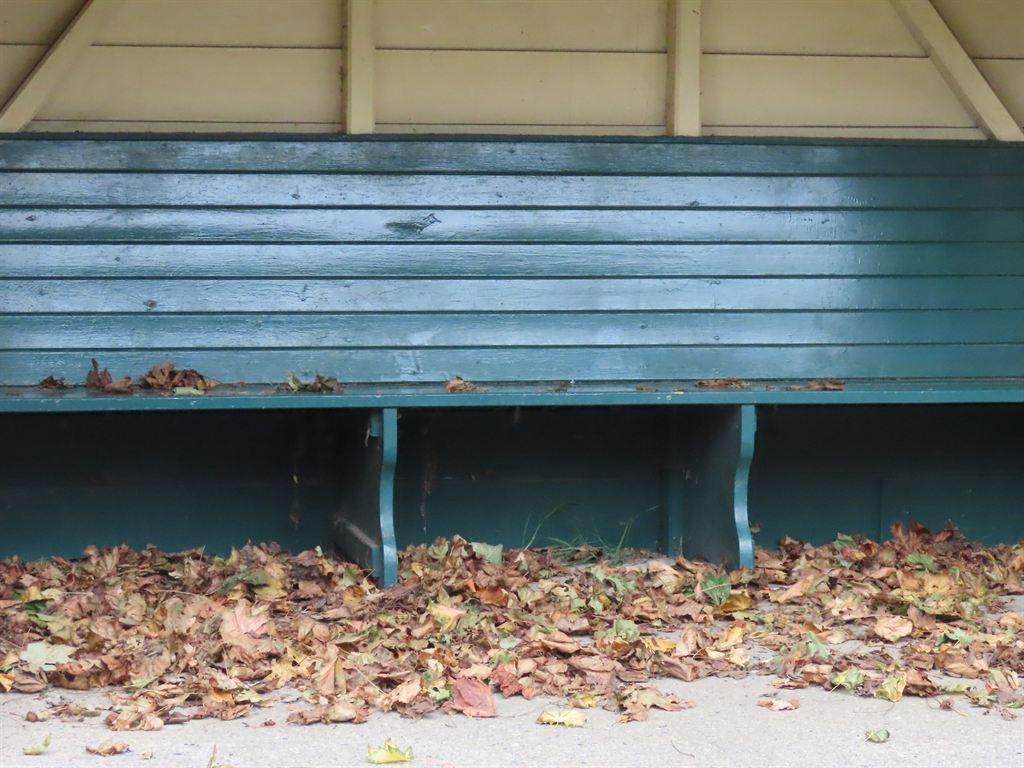 shelter