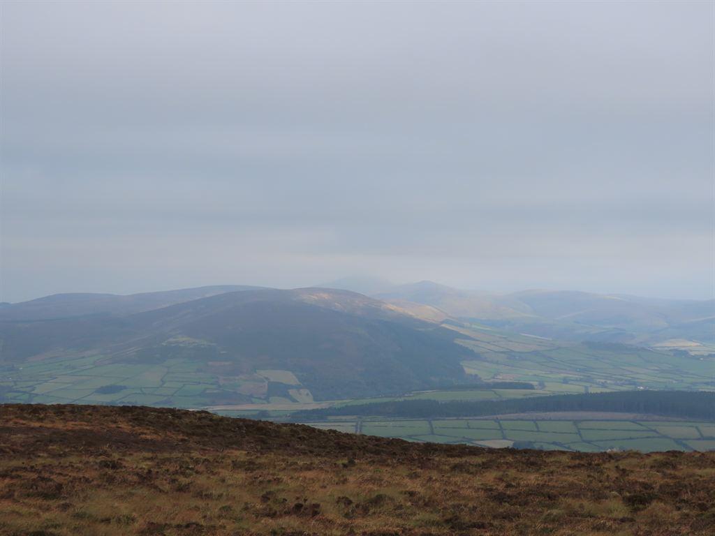 summitview
