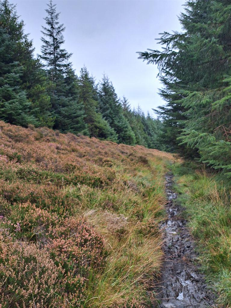 path