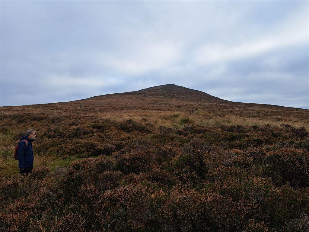 moorland
