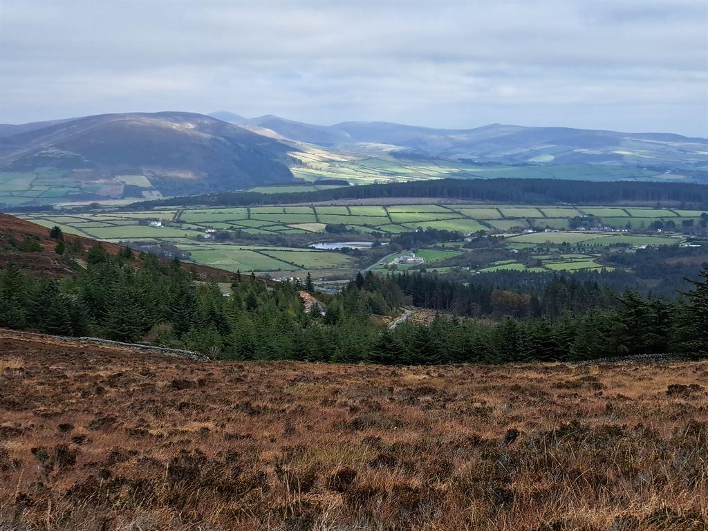 moor&view