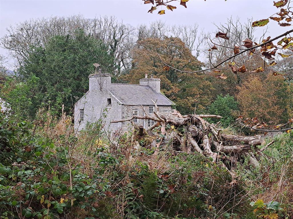 house&woodpile