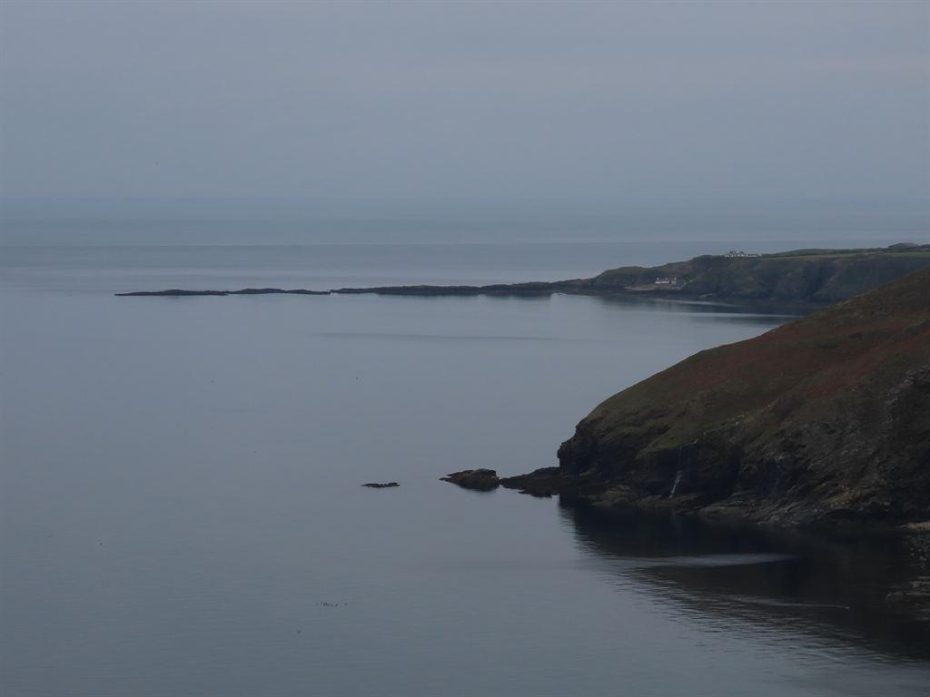 niarbyl