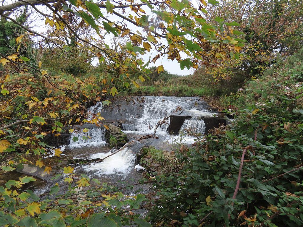 weir
