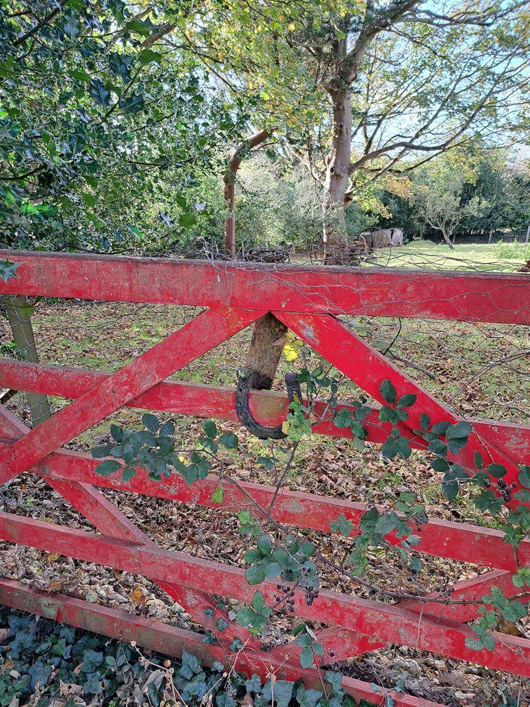 gate&horseshoe