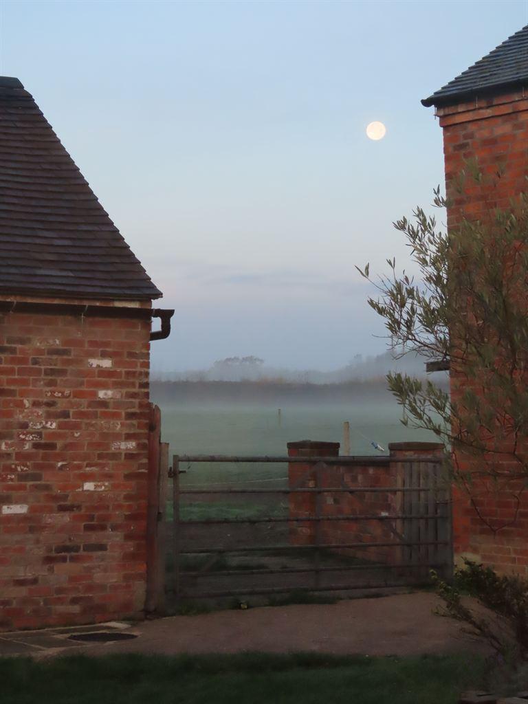 stables