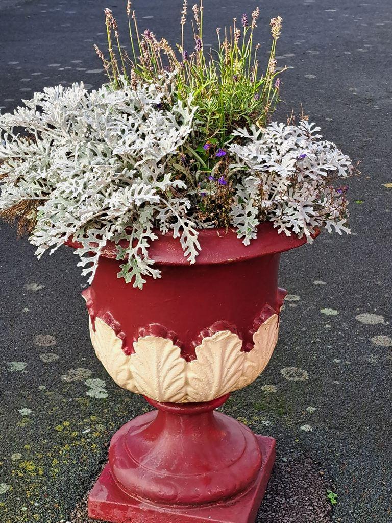 urn