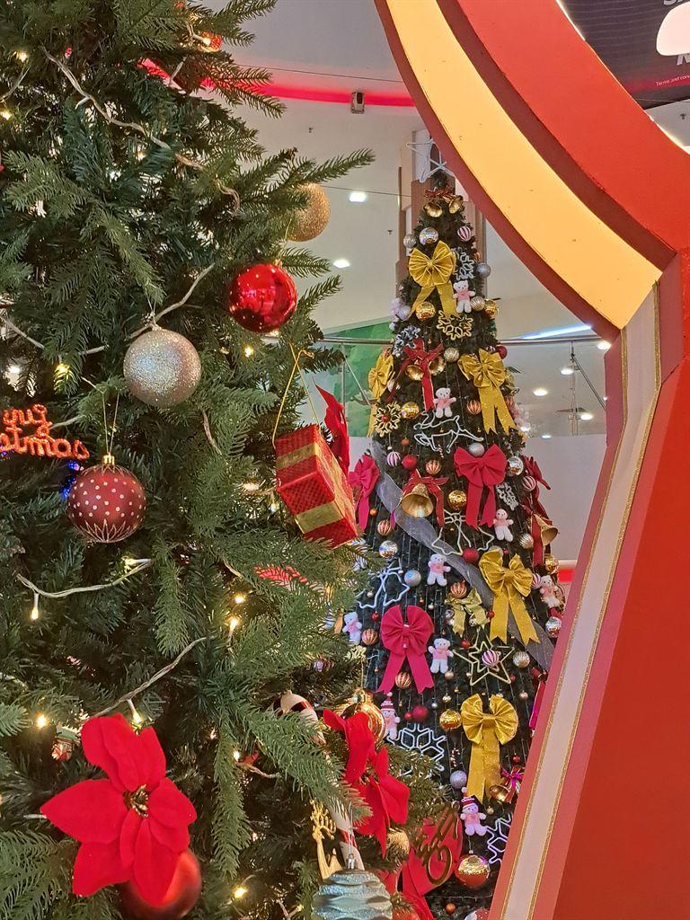 trees