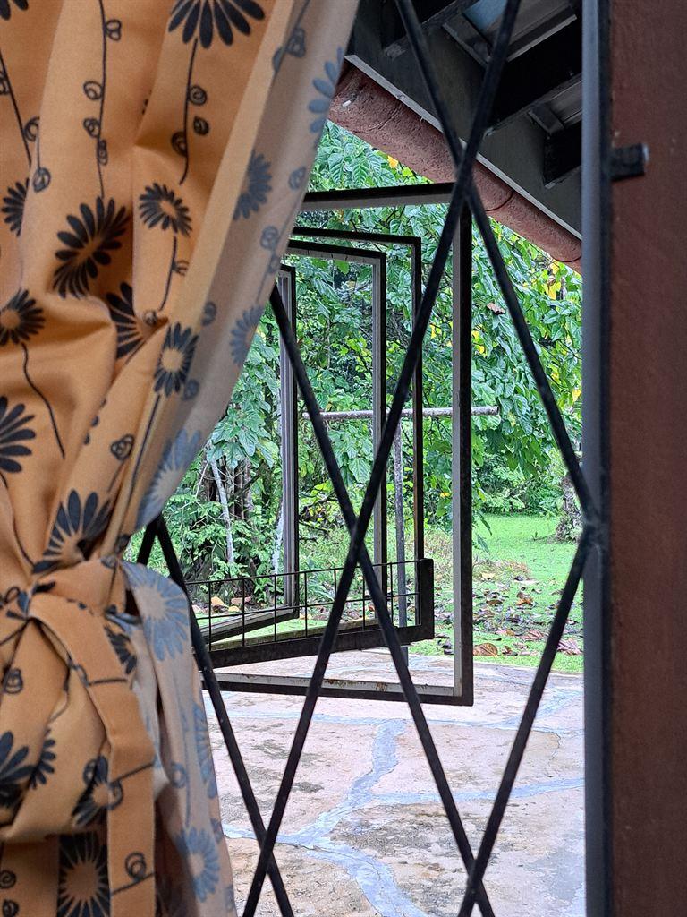 window