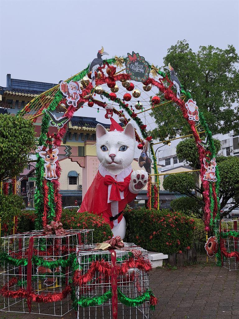 cat