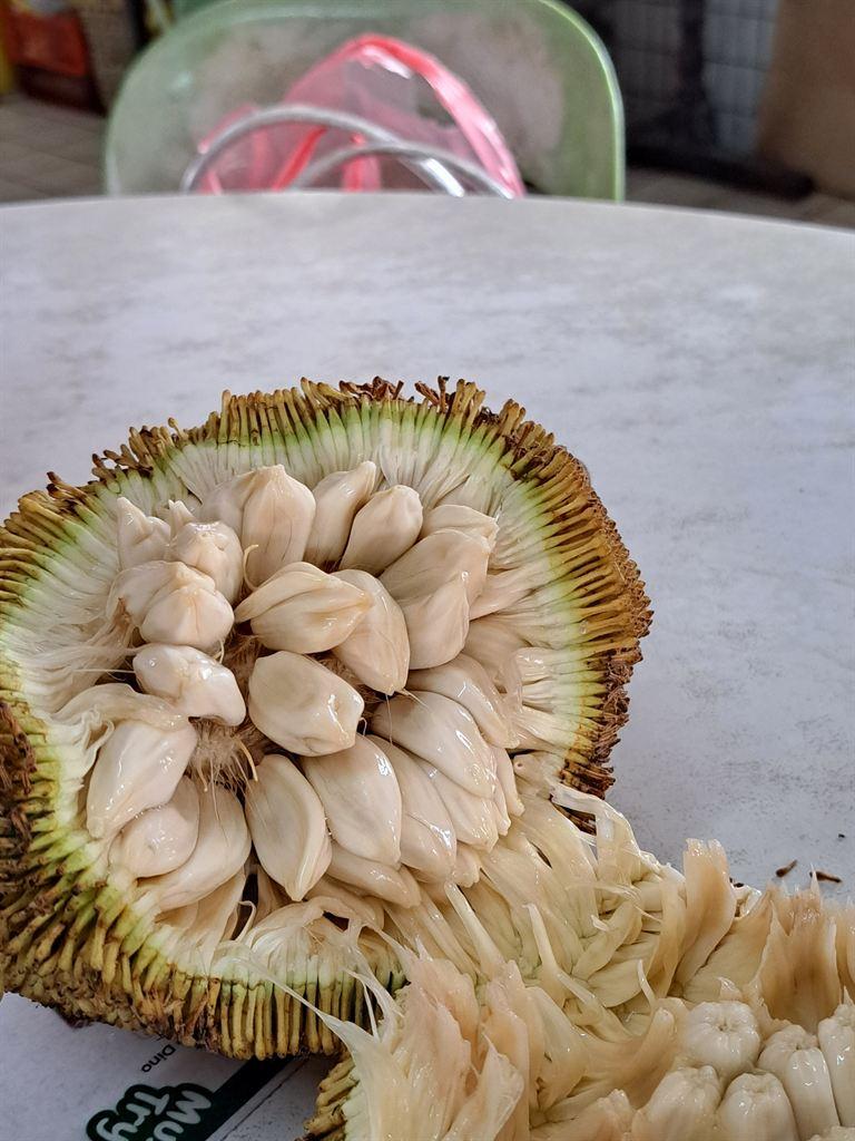 tarap2