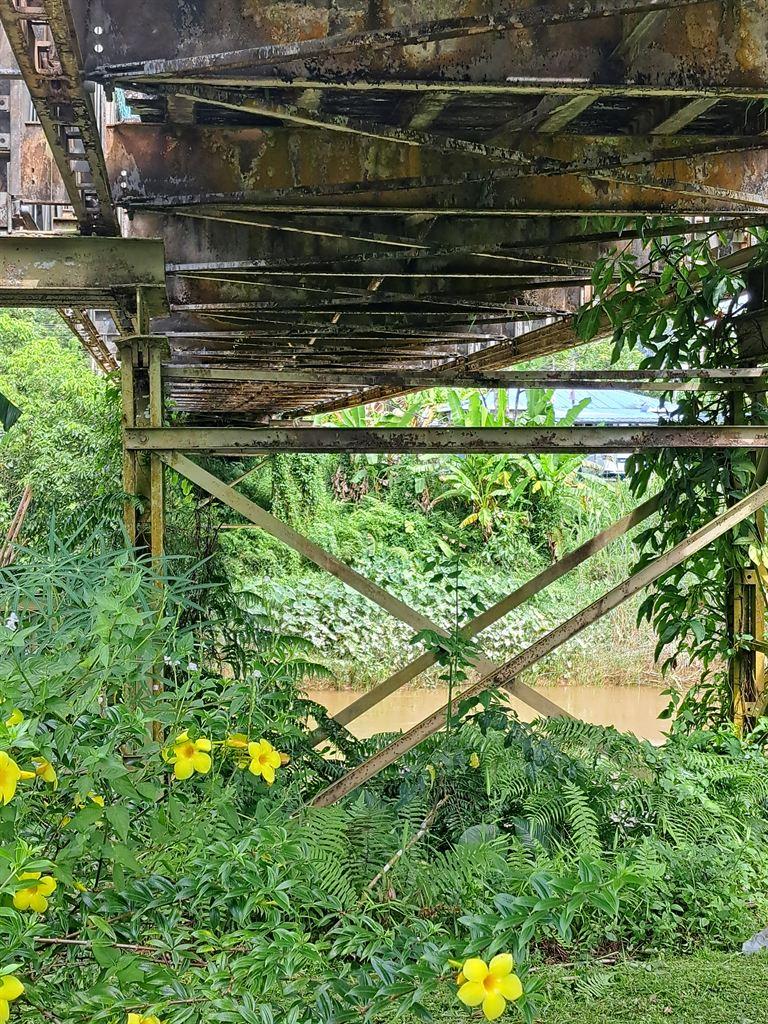 bridge3
