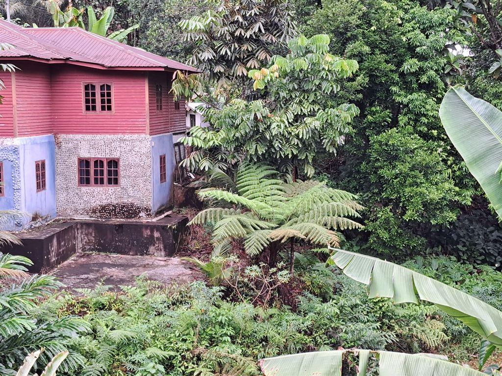 pinkhouse
