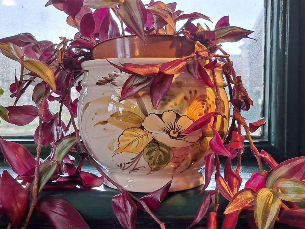 vase