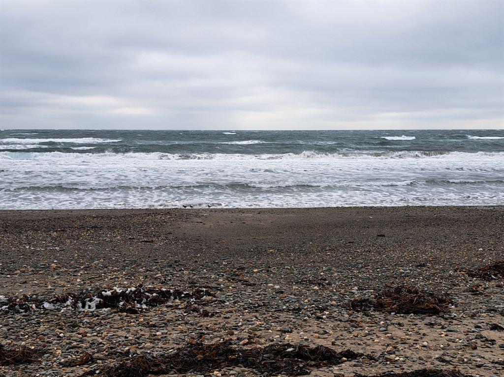 bigsea