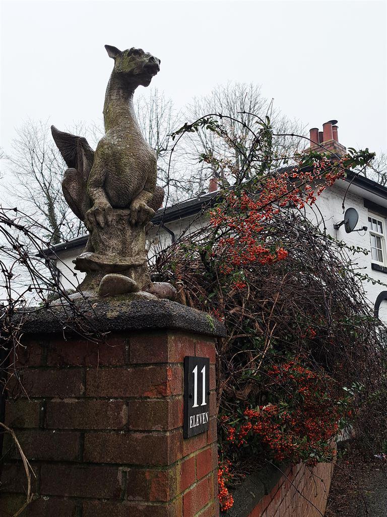 griffin