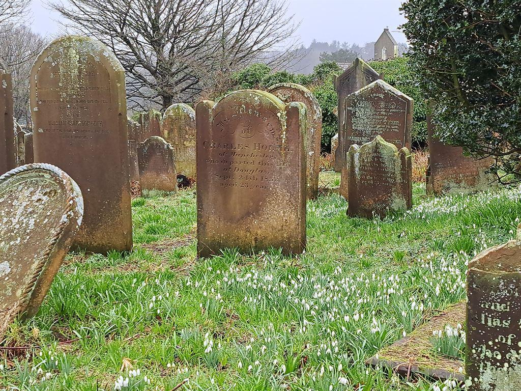 graves&snowdrops