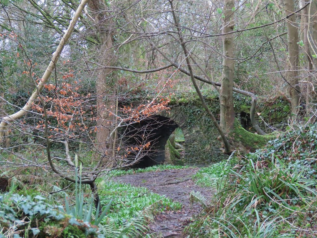 bridge1