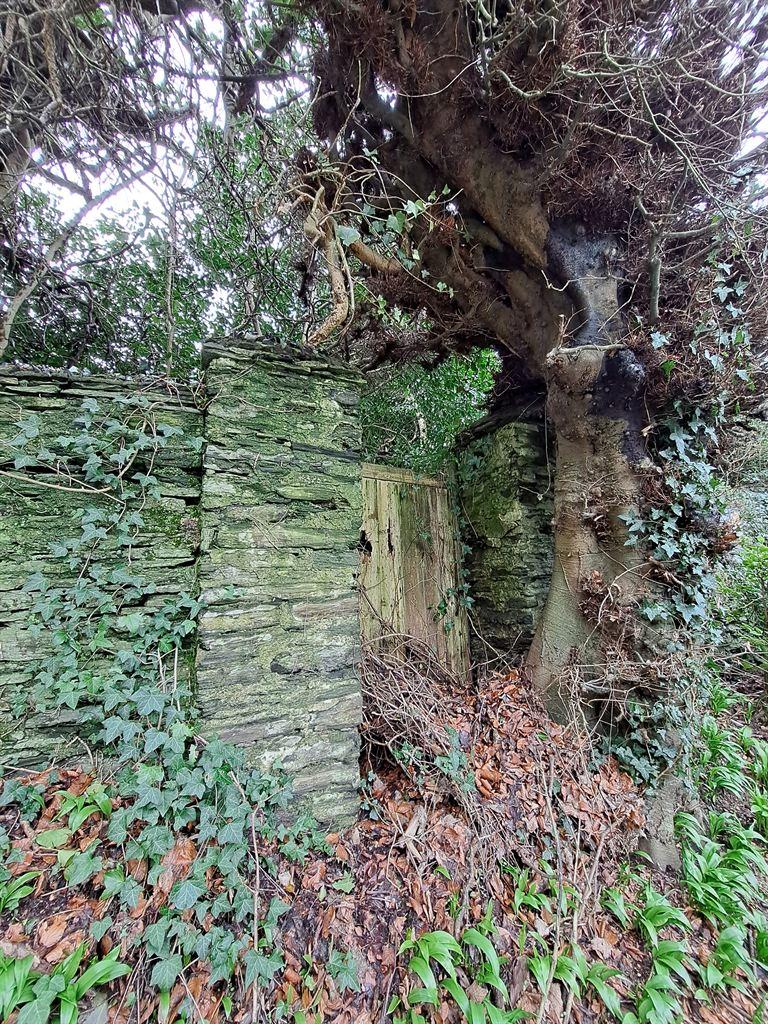 gate