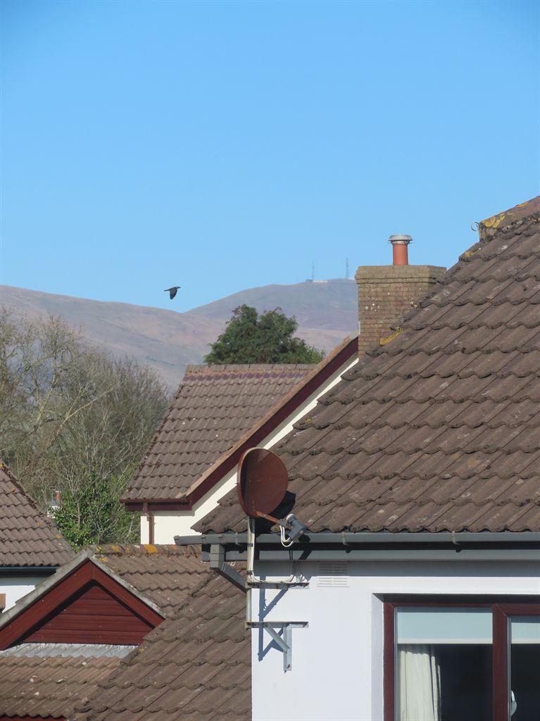 snaefell2