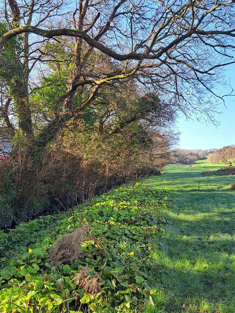 field