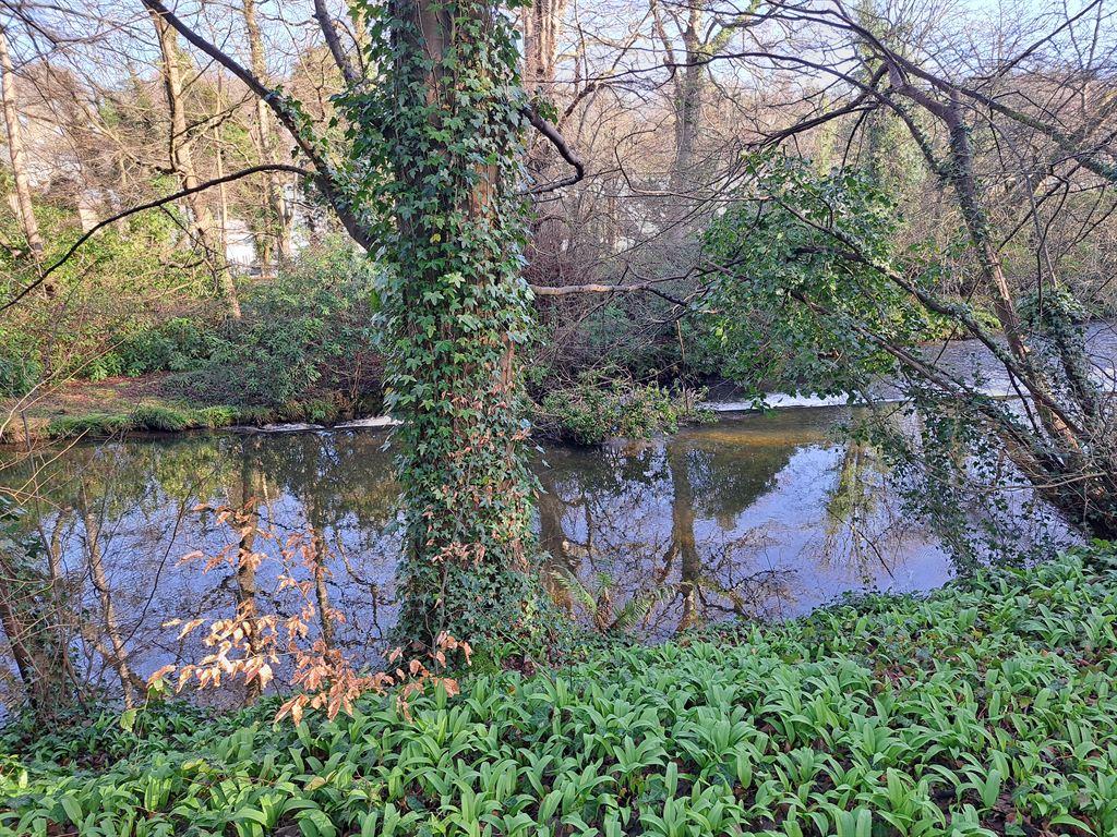 river