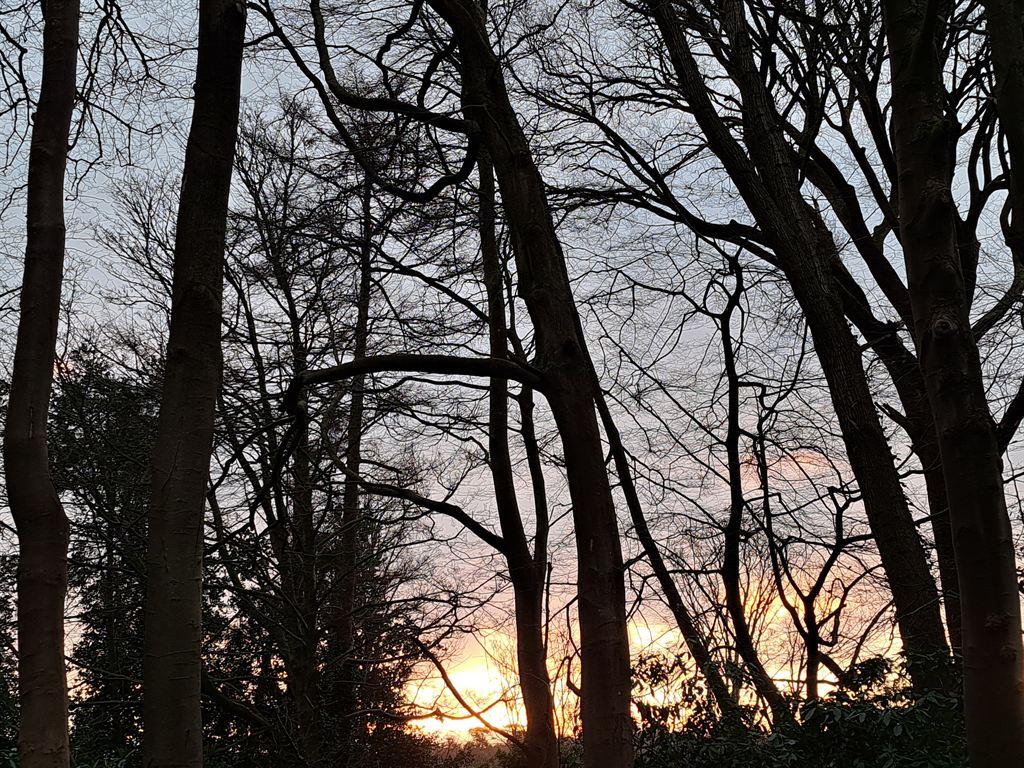 sunrise