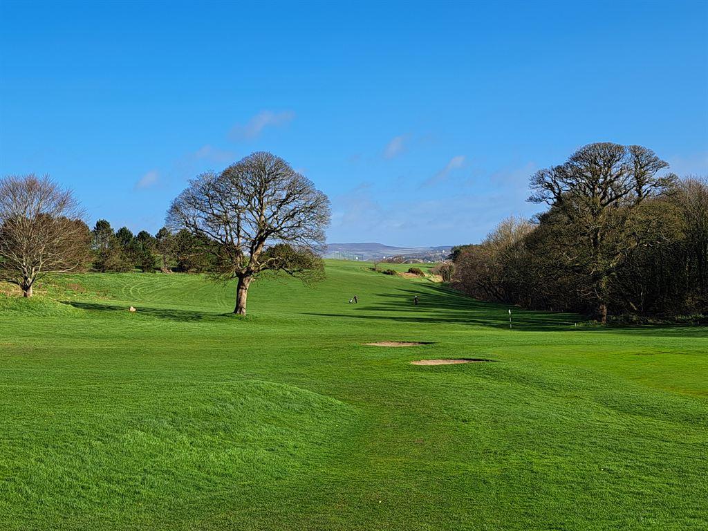golfcourse
