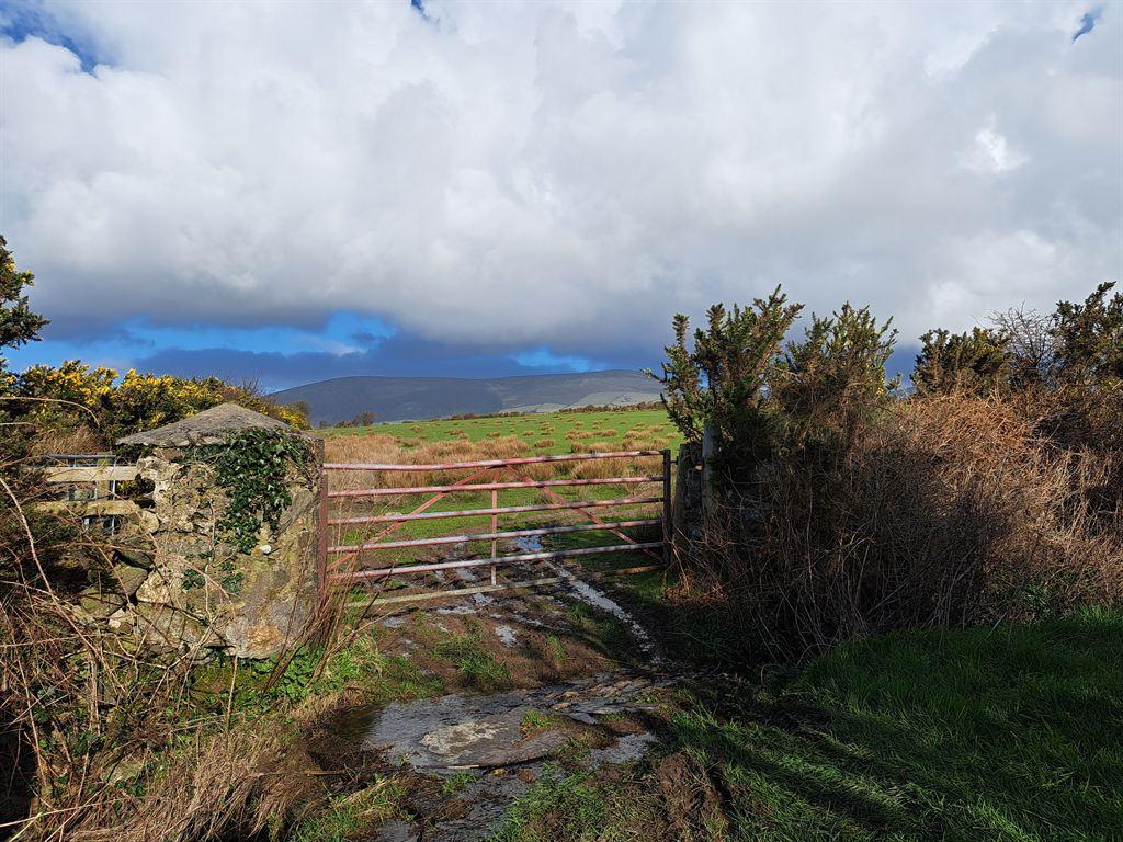 gate