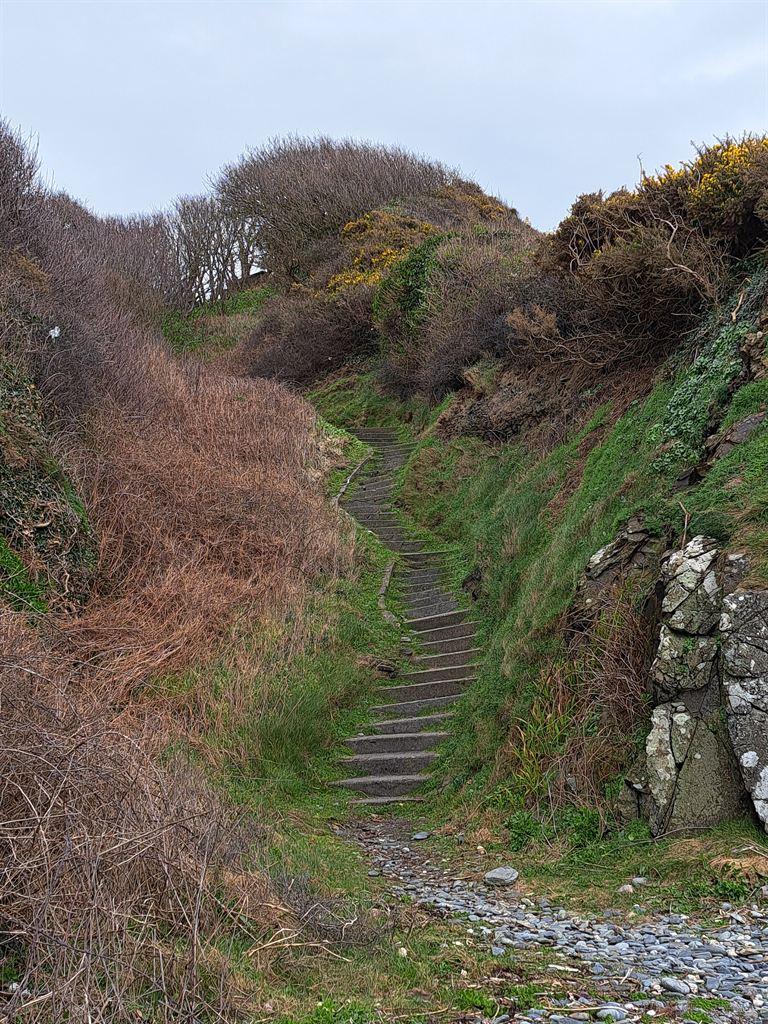 steps