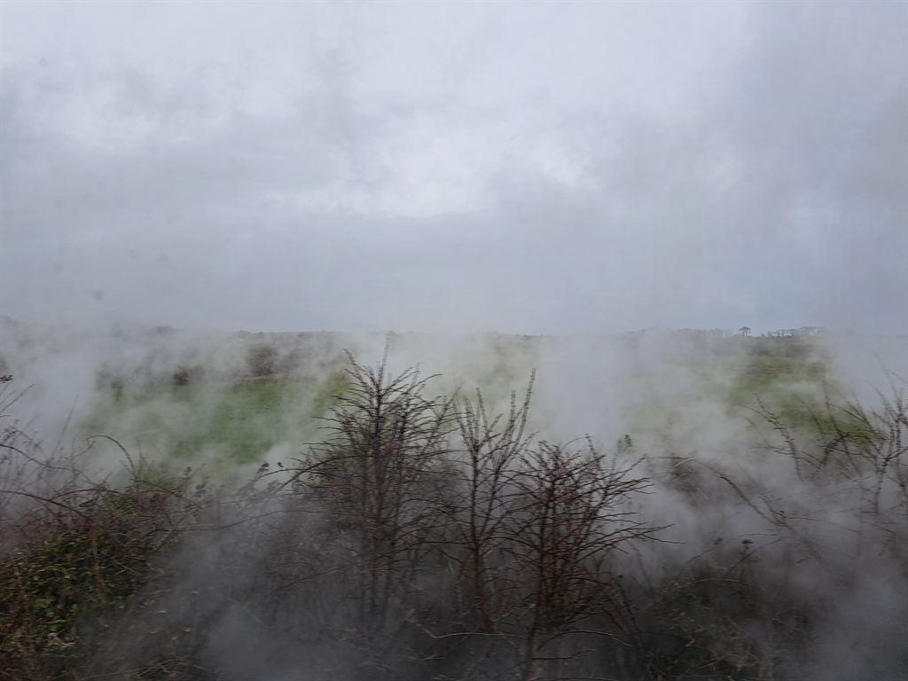 steam2