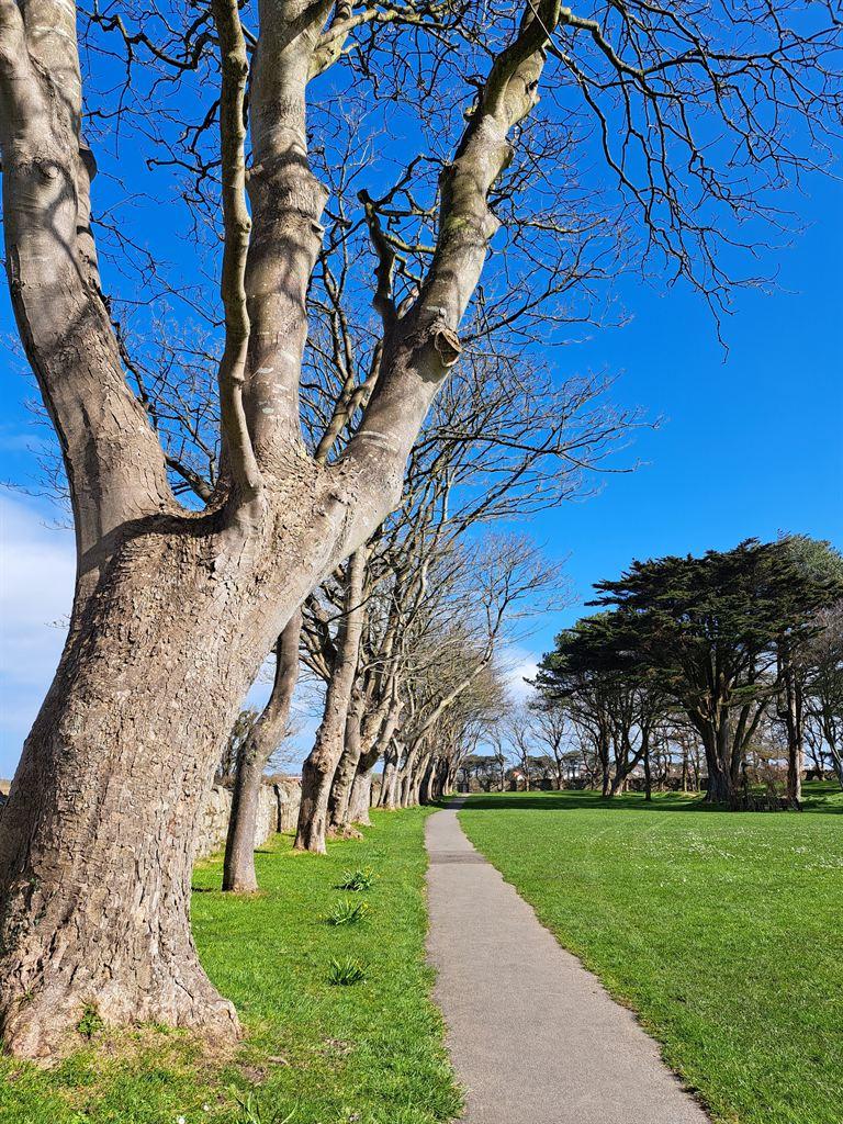 avenue