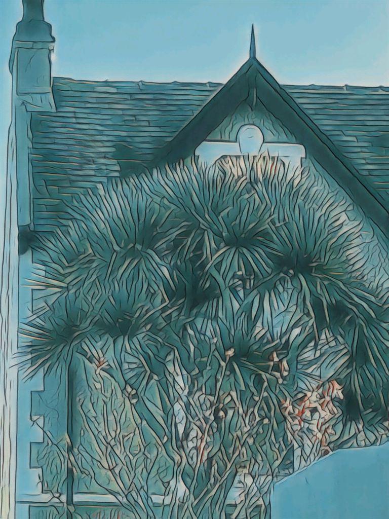 palm&gable