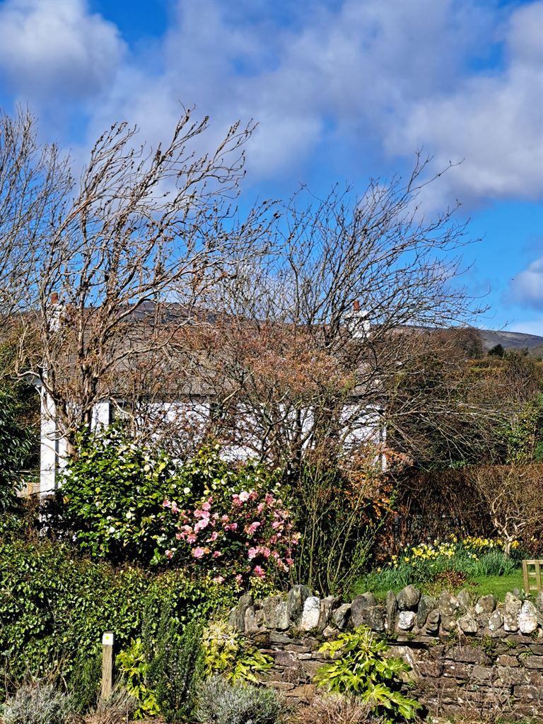 cottage&hill