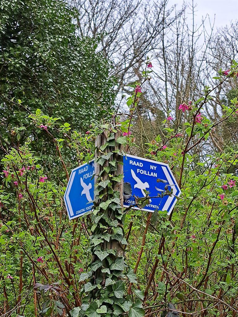signs
