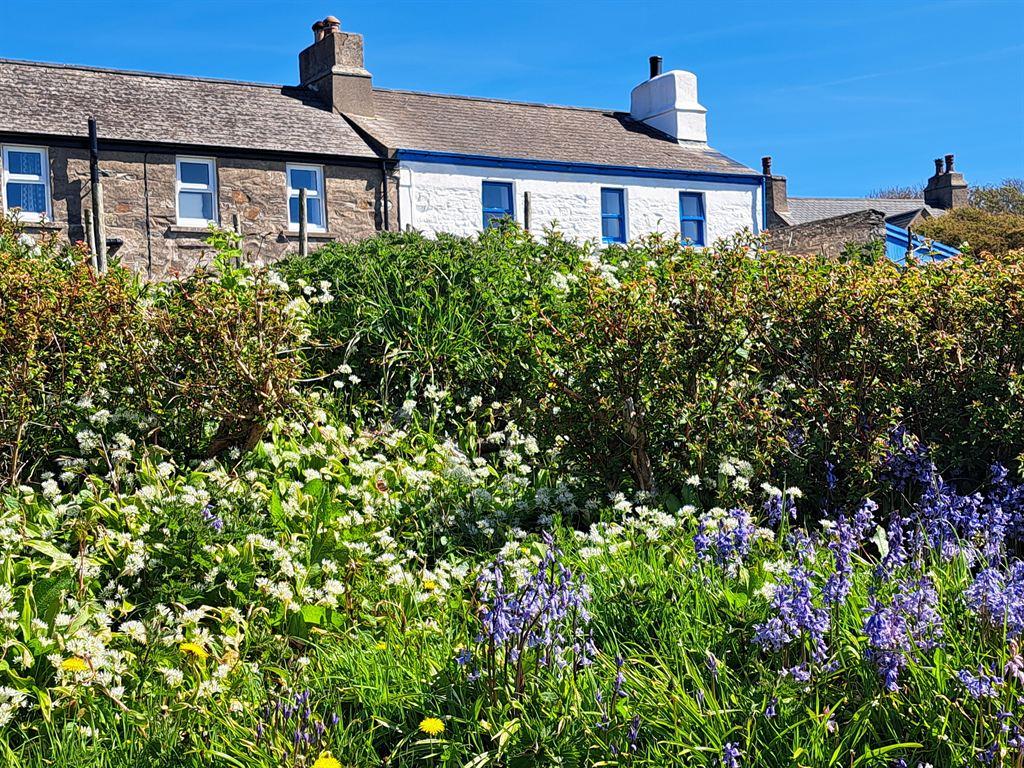 houses