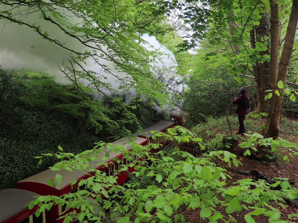 train3