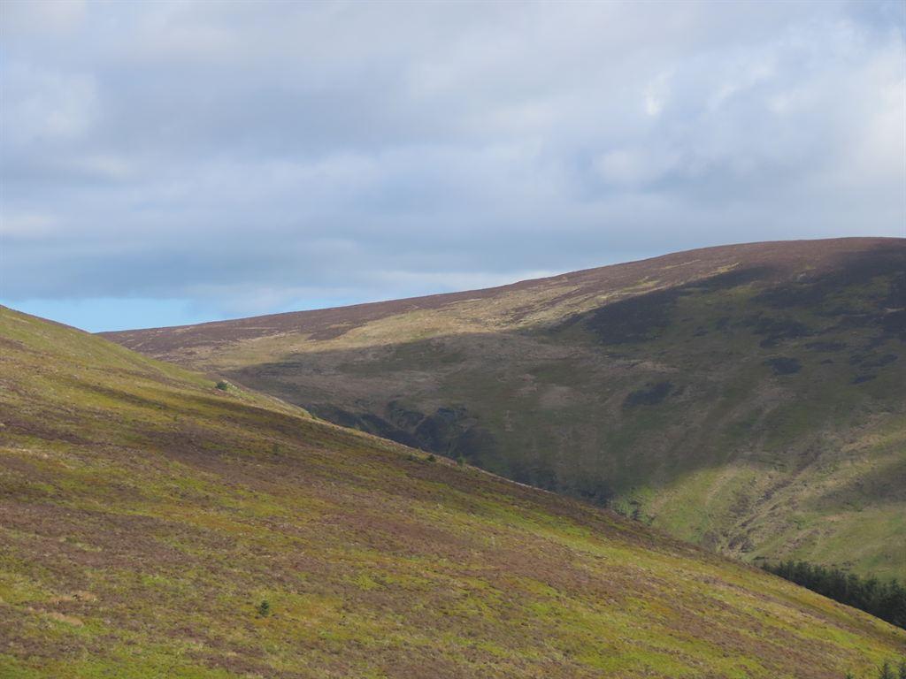 moorland