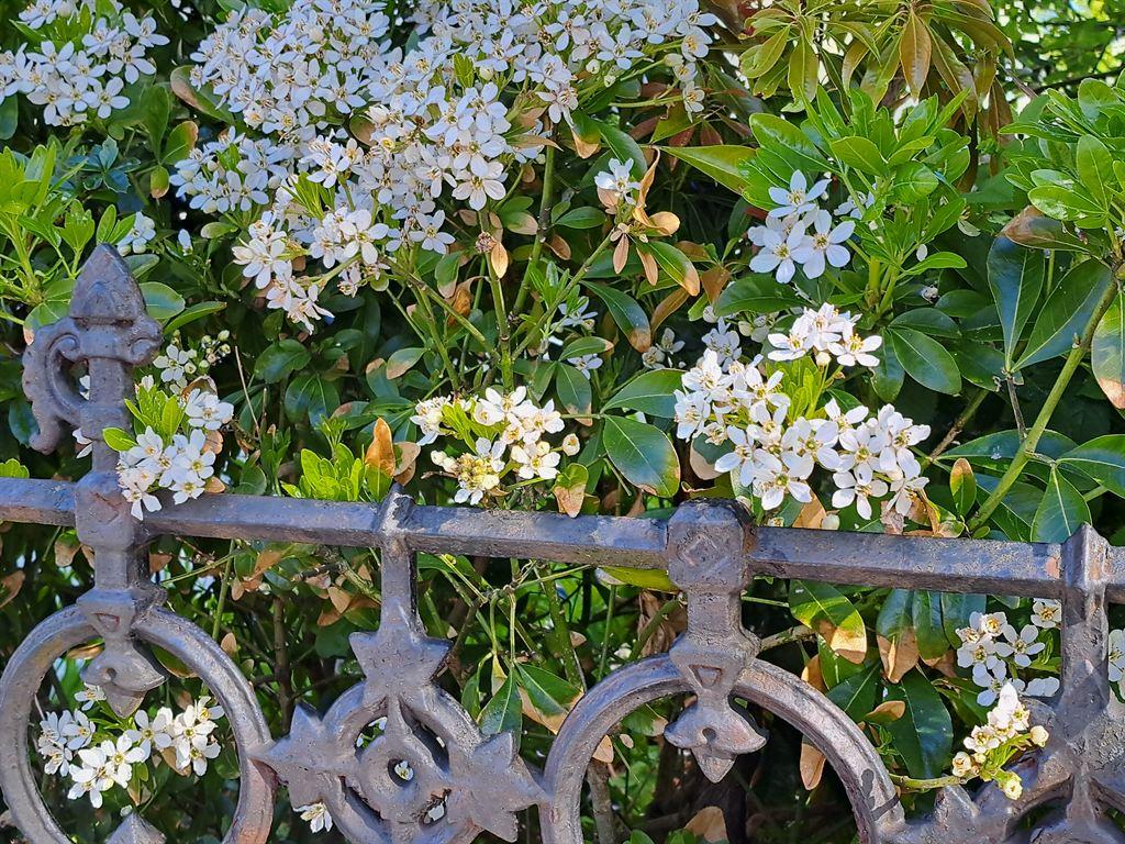 railings