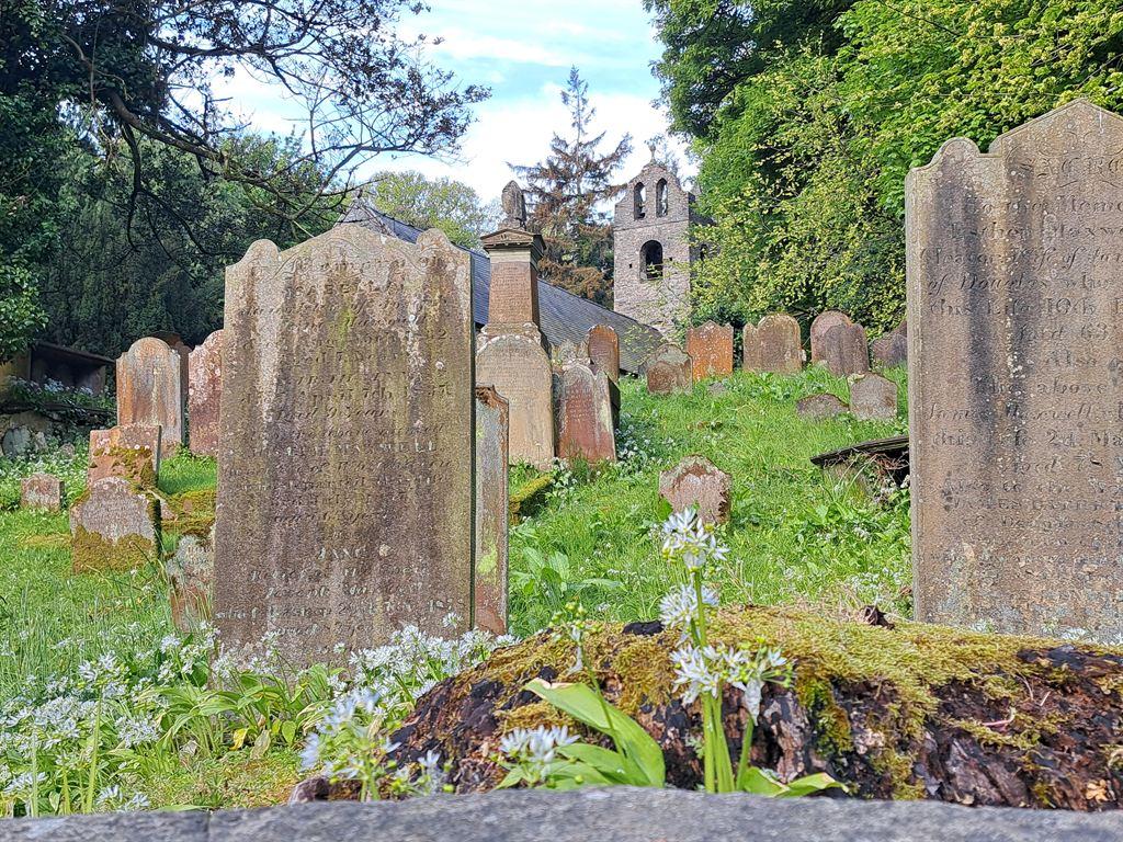 braddan2