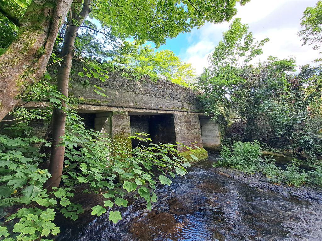 bridge