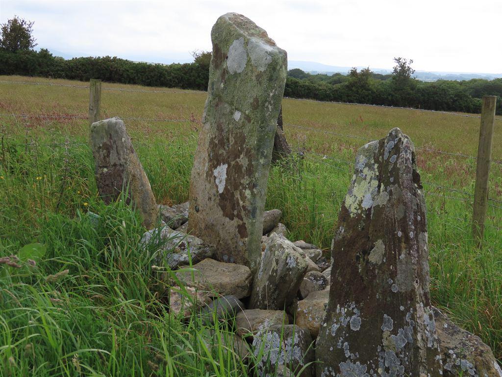 stones1