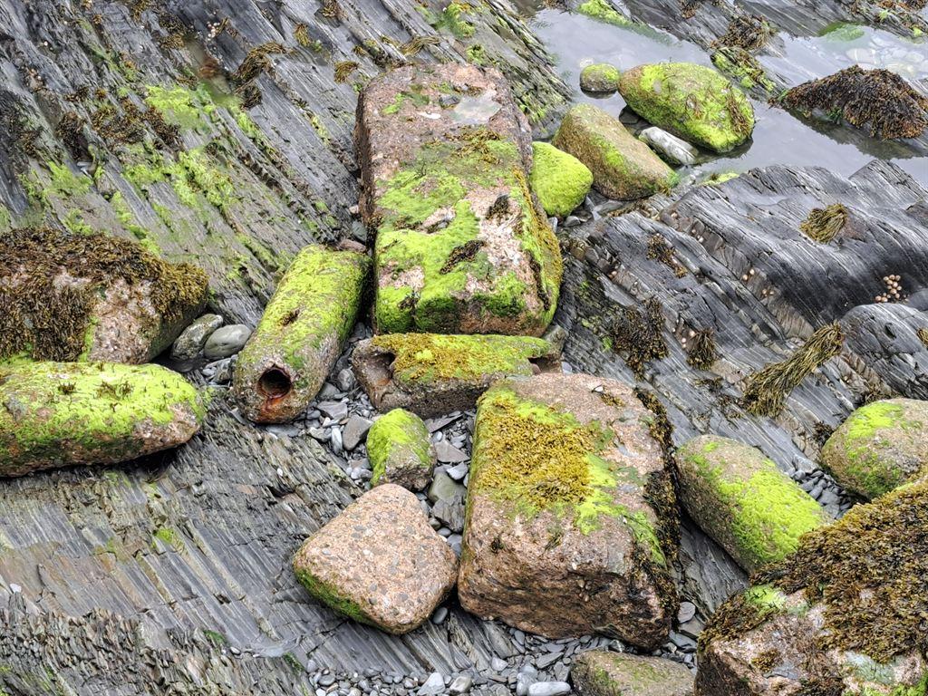 rocks