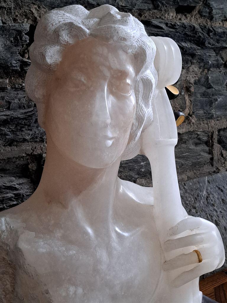 whitefigure
