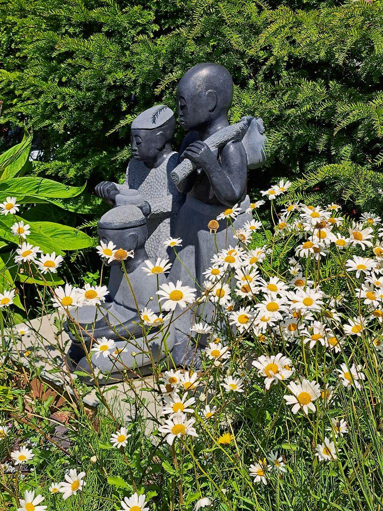 daisies