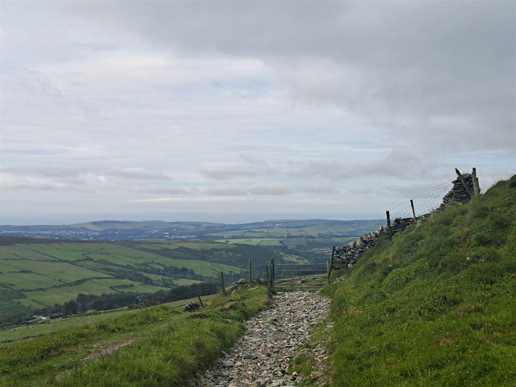 greenlane1