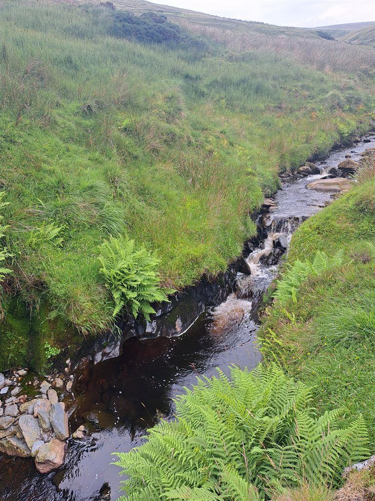 stream