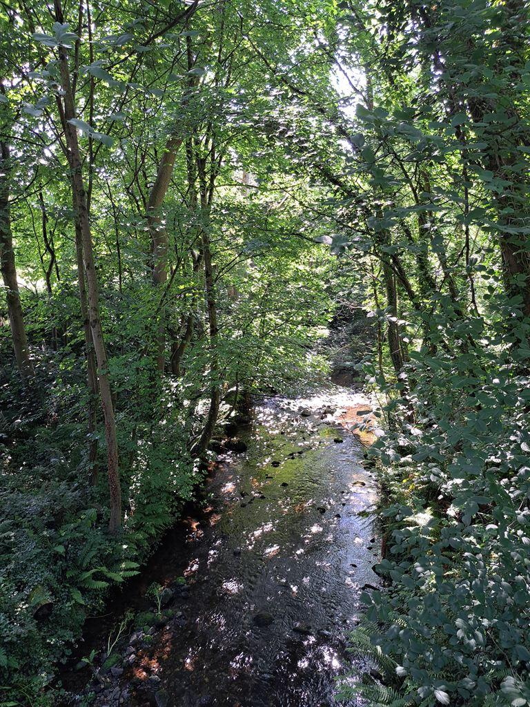 river