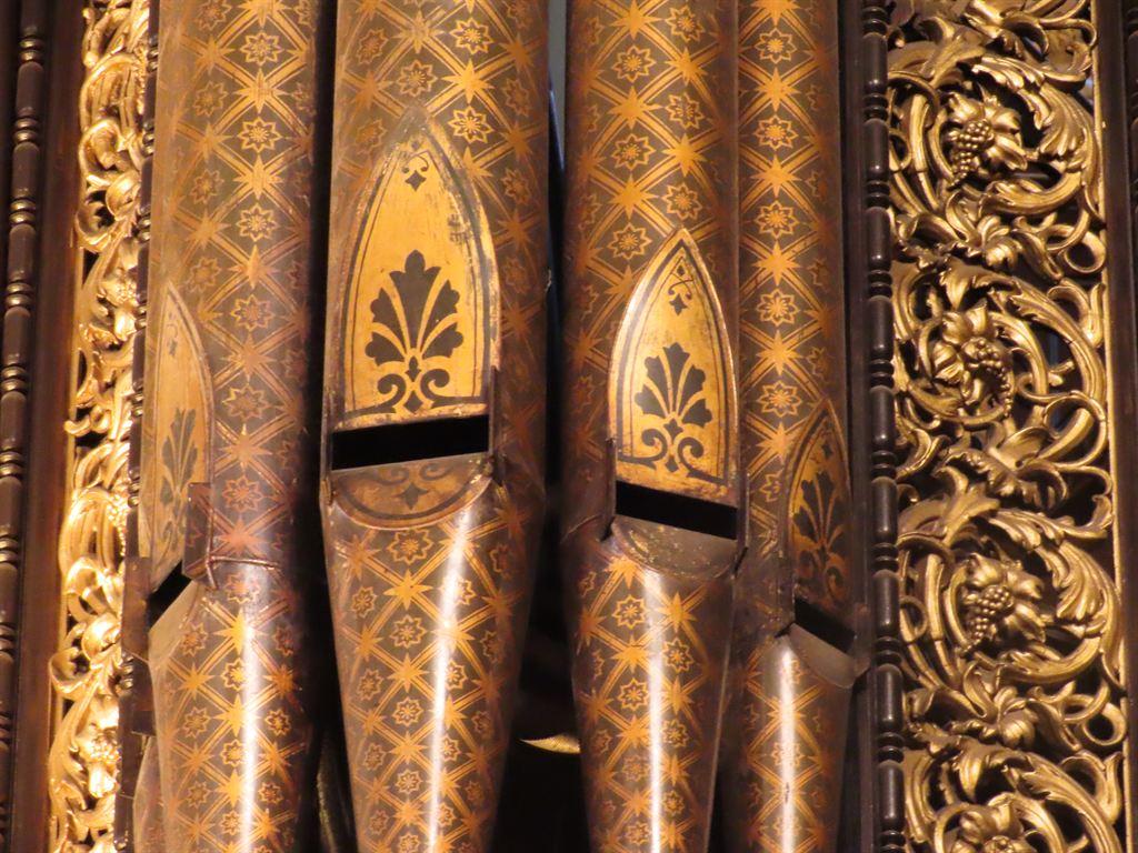 organ
